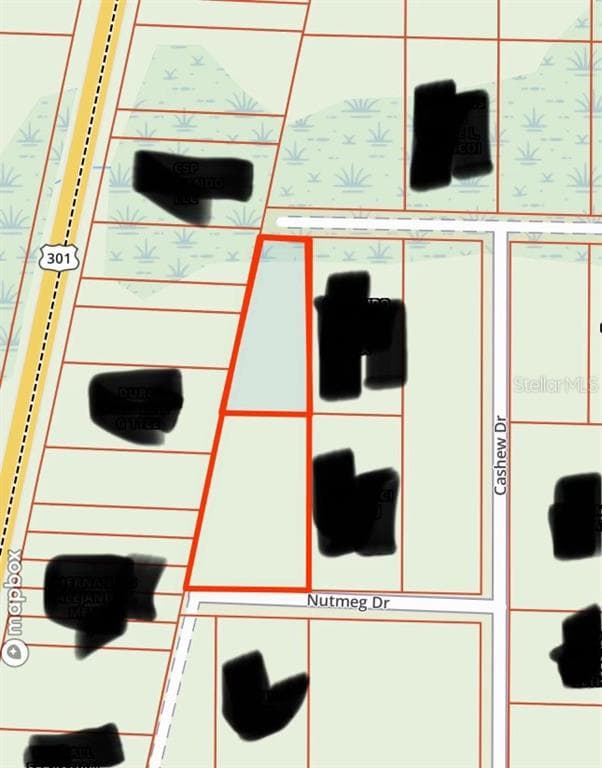NUTMEG DRIVE WEBSTER, FL 33597