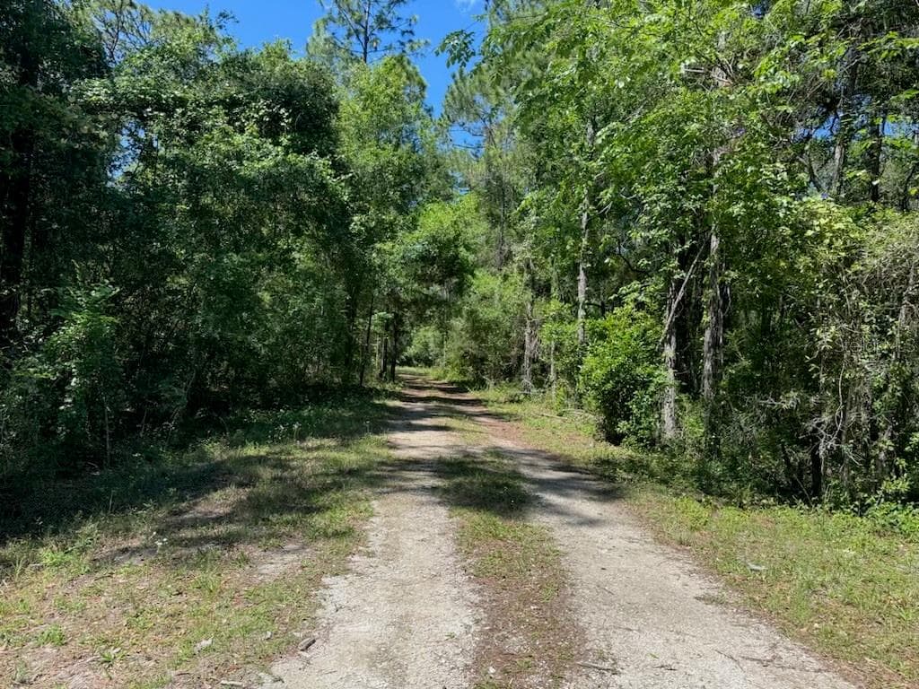 CITADEL DRIVE WEBSTER, FL 33597