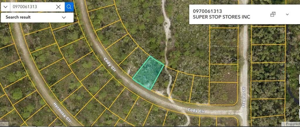 CODY CIRCLE NORTH PORT, FL 34291