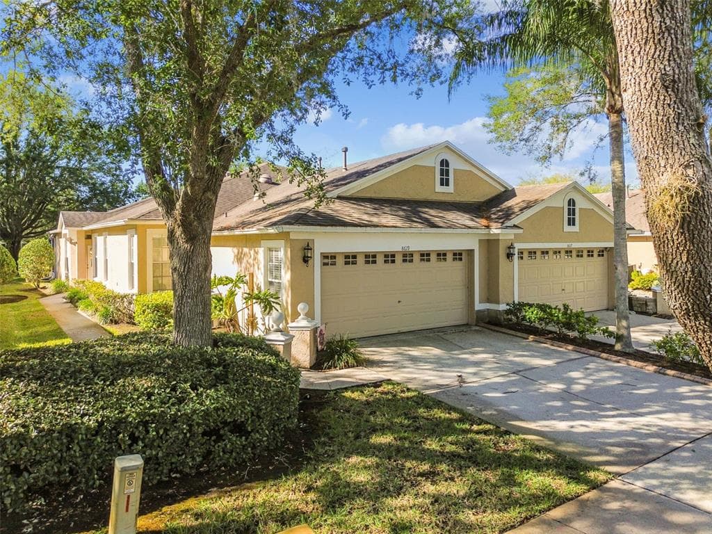 8619 SNOWY OWL WAY TAMPA, FL 33647