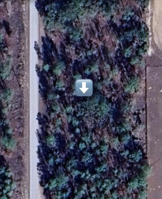 NW BUENA VISTA ROAD DUNNELLON, FL 34431