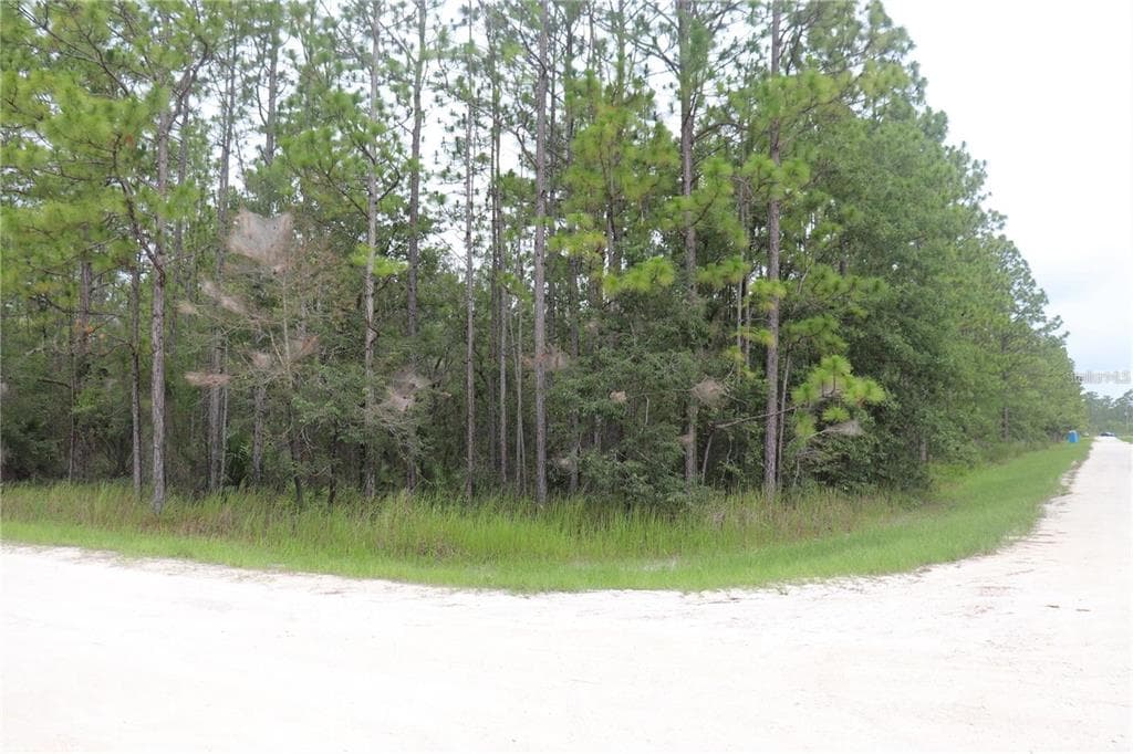 11225 TINAMOU AVENUE WEEKI WACHEE, FL 34614