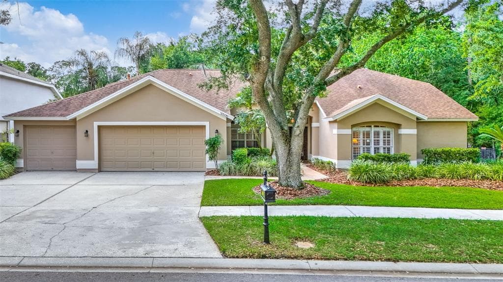 10508 CHAMBERS DRIVE TAMPA, FL 33626
