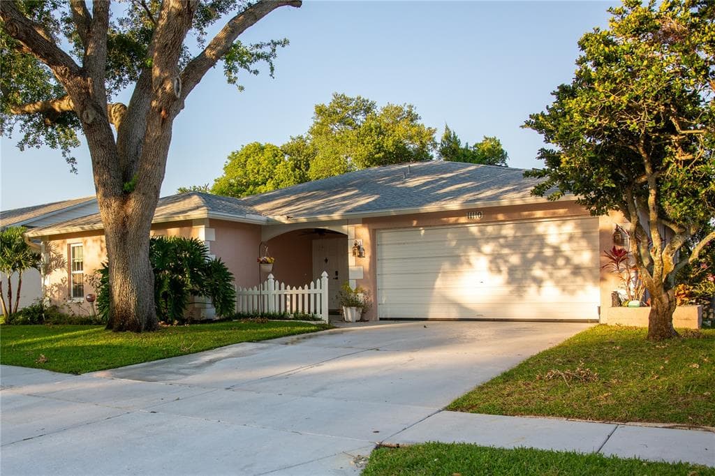 11110 ELDERBERRY