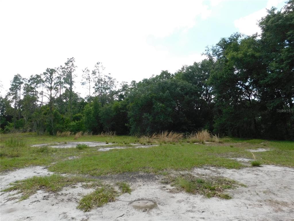 118 ORCHIDGROVE LANE DOVER, FL 33527