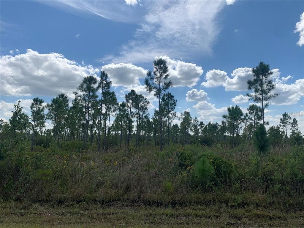 315 JAPONICA AVENUE INDIAN LAKE ESTATES, FL 33855