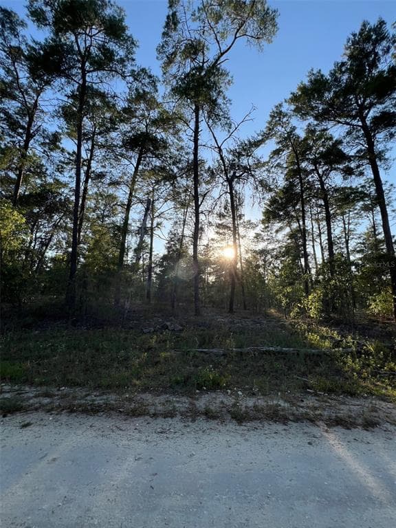 SE 145TH COURT WILLISTON, FL 32696