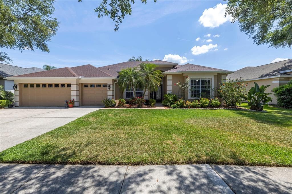 10254 SHADOW BRANCH DRIVE TAMPA, FL 33647