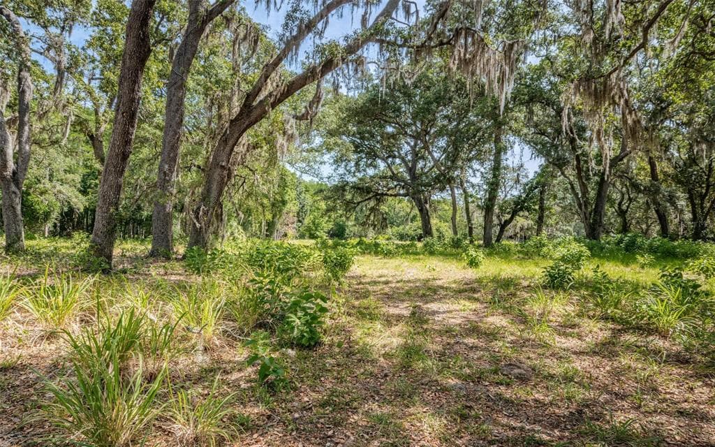 OLD EAST LAKE ROAD TARPON SPRINGS, FL 34688