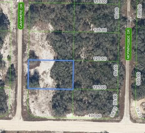 323 CASHMERE DRIVE LAKE PLACID, FL 33852