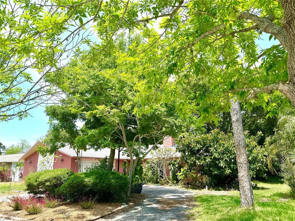 705 WILD OAK LANE PALM HARBOR, FL 34683