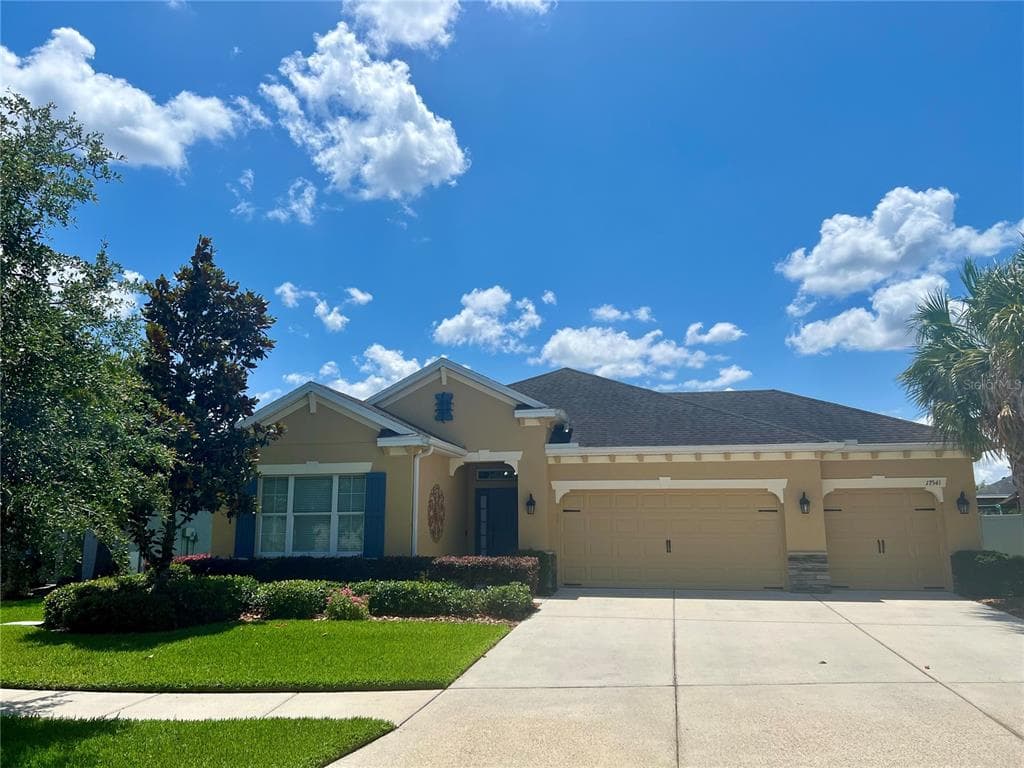 17541 BUCKINGHAM GARDEN DRIVE LITHIA, FL 33547