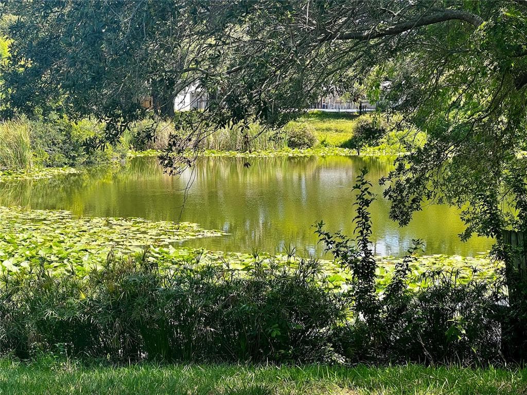 8652 CANDLEWICK LANE PORT RICHEY, FL 34668