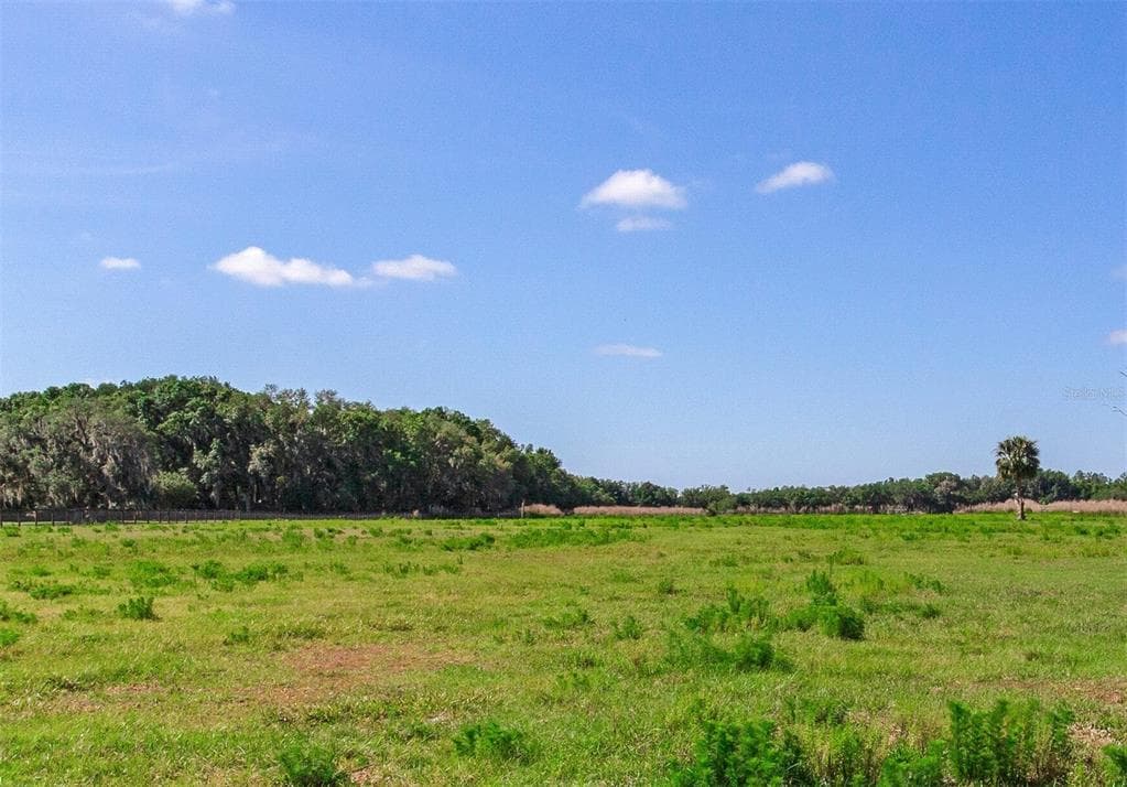 419 JAMESON ROAD LITHIA, FL 33547