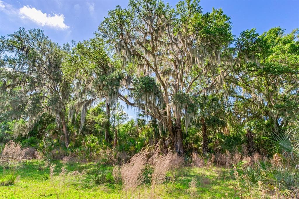 1 JAMESON ROAD LITHIA, FL 33547