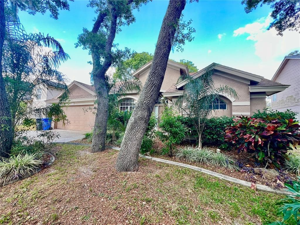 2413 NEEDHAM DRIVE VALRICO, FL 33596