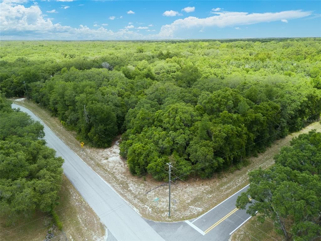 9303 WHEYSTONE DRIVE WEBSTER, FL 33597