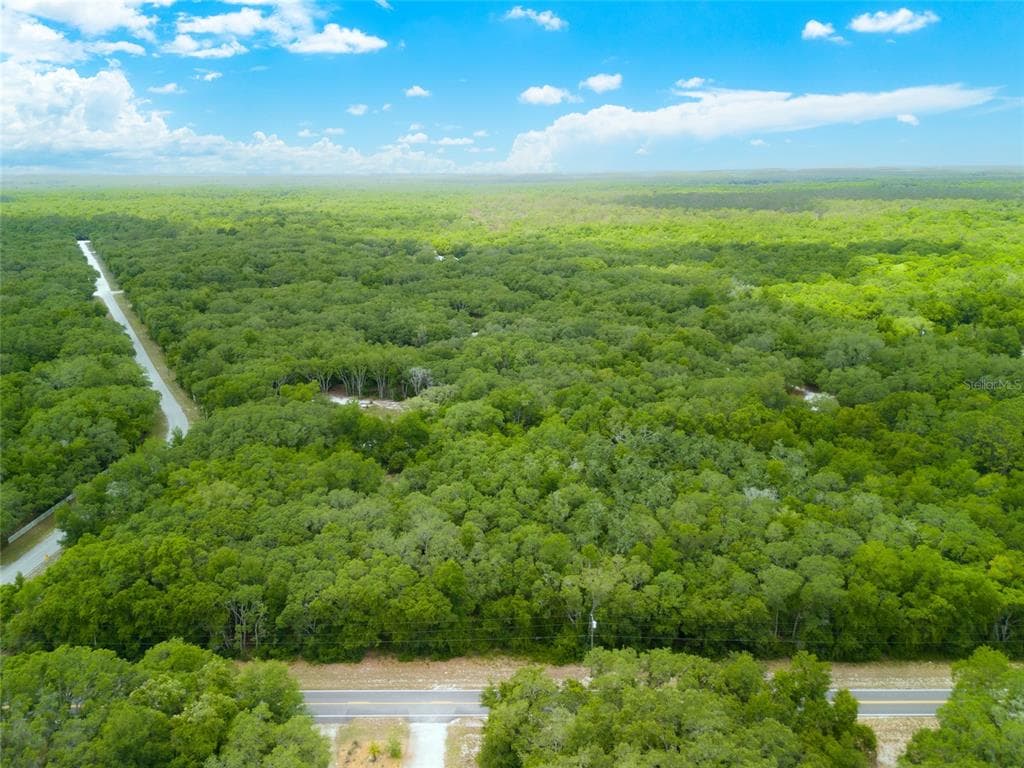 9323 WHEYSTONE DRIVE WEBSTER, FL 33597