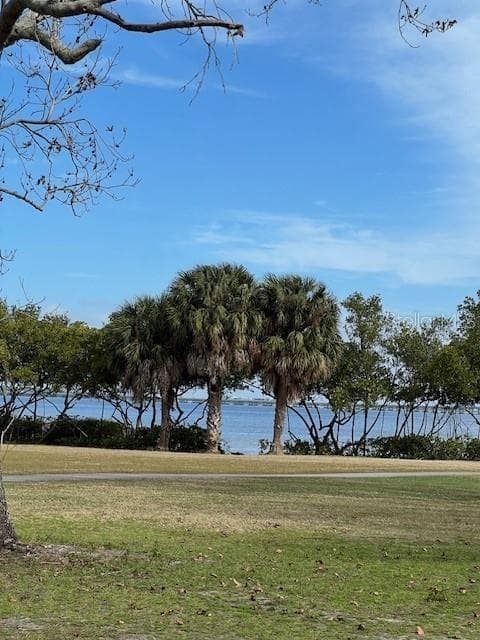 2618 COVE CAY DRIVE UNIT 204 CLEARWATER, FL 33760