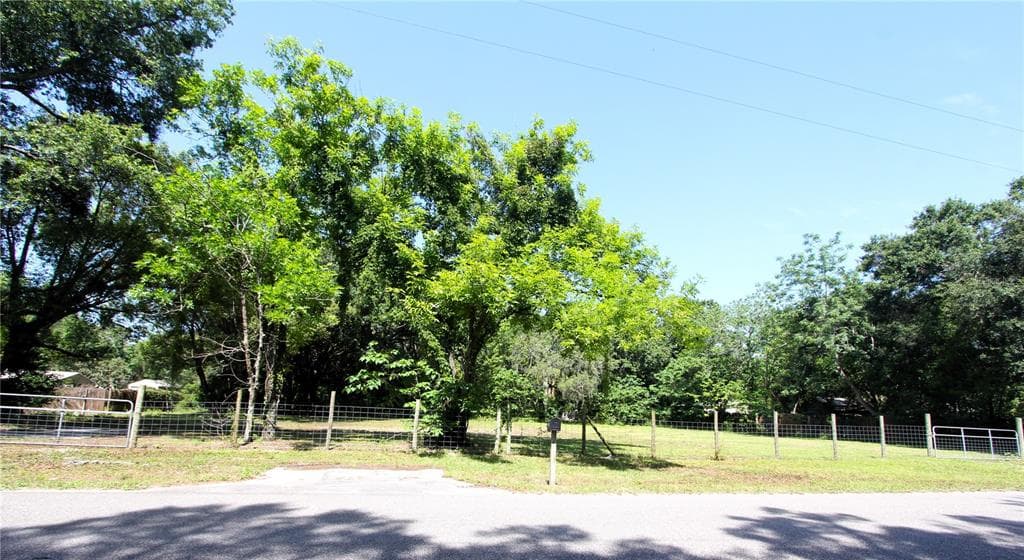 3851 AUTUMN PALM DRIVE ZEPHYRHILLS, FL 33541