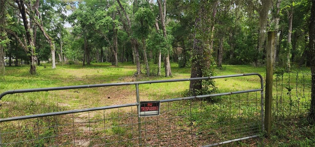 25501 MONDON HILL ROAD BROOKSVILLE, FL 34601