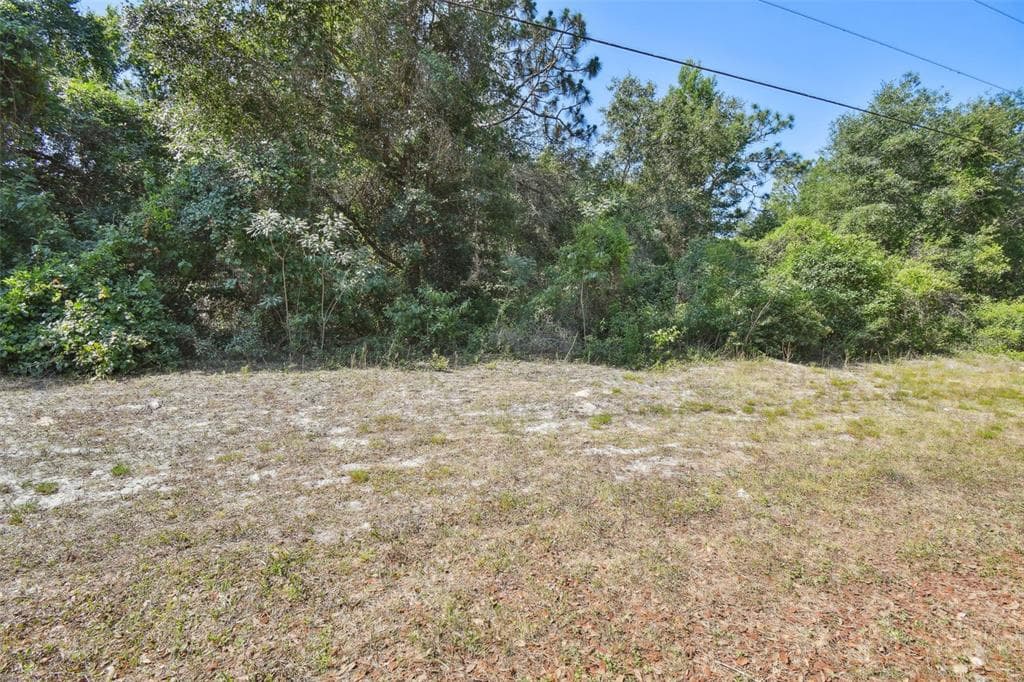 DION AVE NEW PORT RICHEY, FL 34654