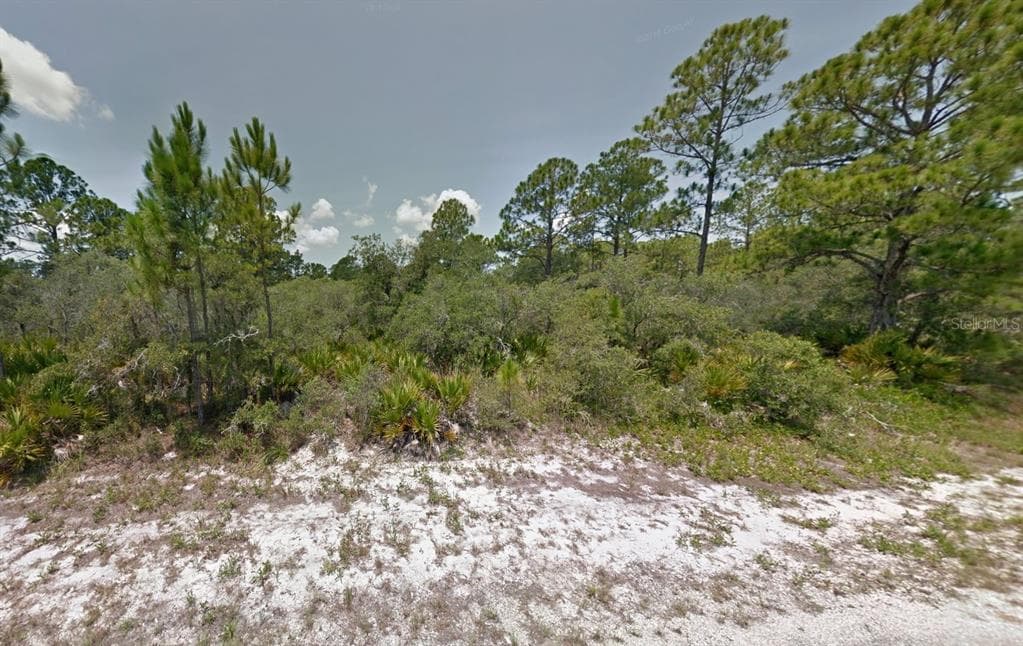 602 BUCKLEY ROAD LAKE PLACID, FL 33852