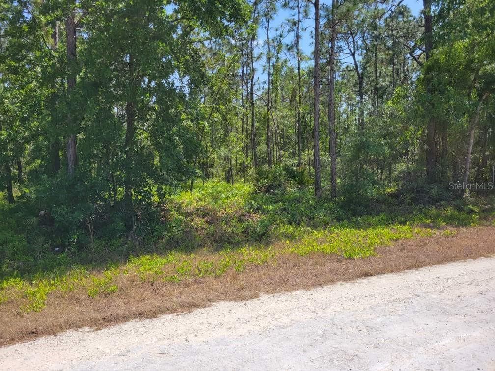 13332 SCHICK AVENUE WEEKI WACHEE, FL 34614