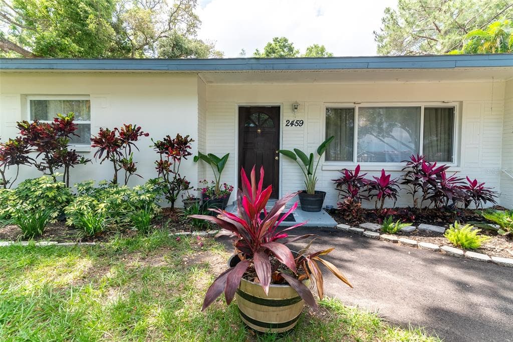 2459 NASH STREET CLEARWATER, FL 33765
