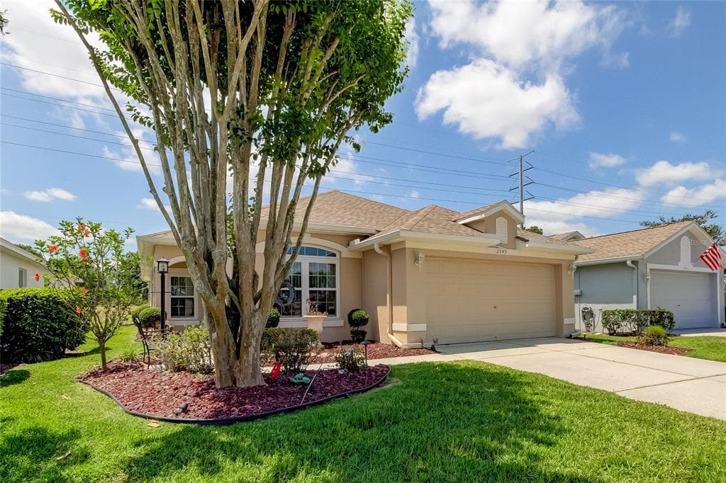 2949 BANYAN HILL LANE LAND O LAKES, FL 34639