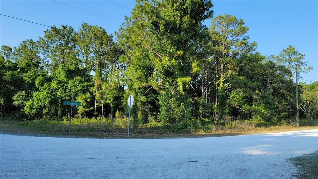 15596 CLIFF SWALLOW ROAD WEEKI WACHEE, FL 34614