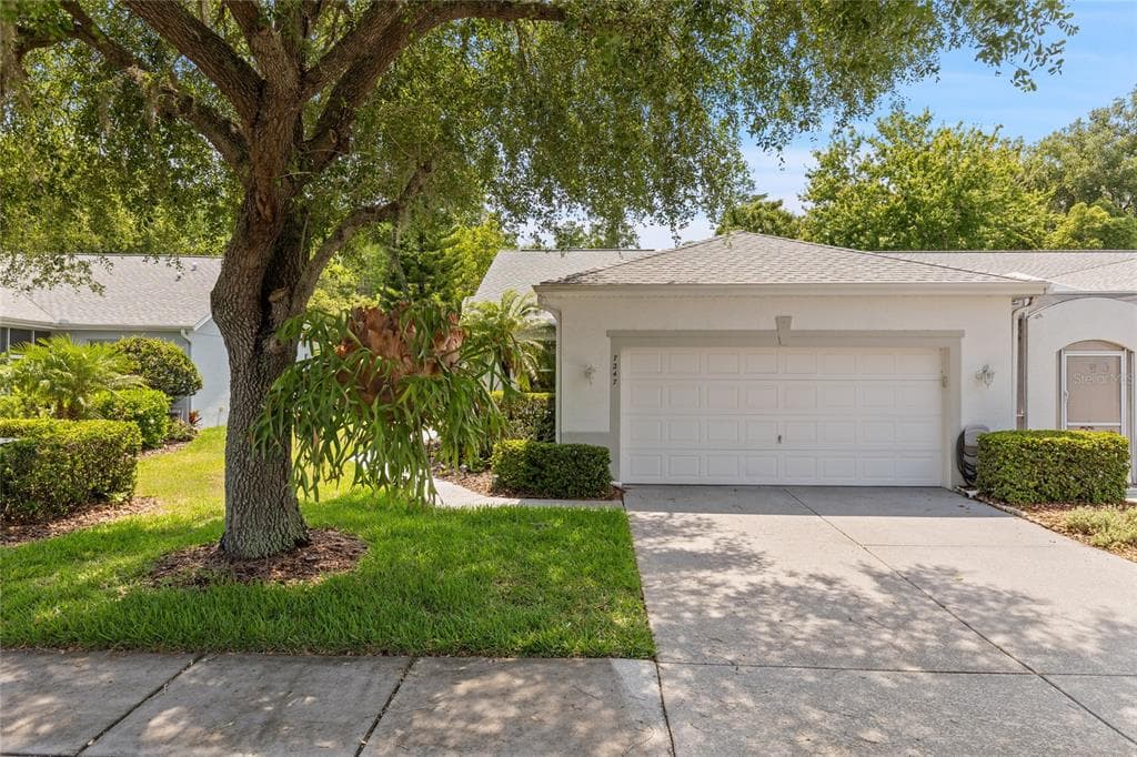 7247 CLEOPATRA DRIVE LAND O LAKES, FL 34637