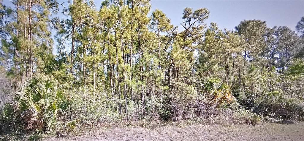 BOSKOOP ROAD NORTH PORT, FL 34288
