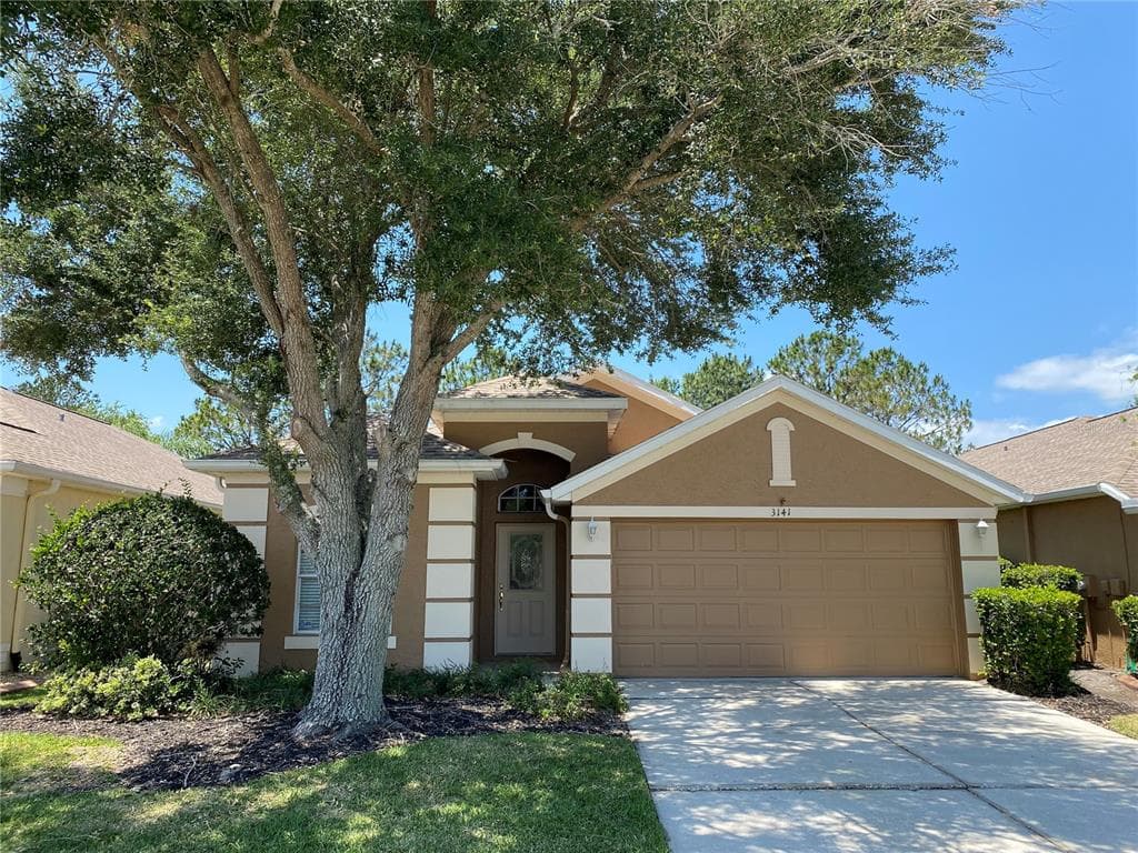 3141 BANYAN HILL LANE LAND O LAKES, FL 34639
