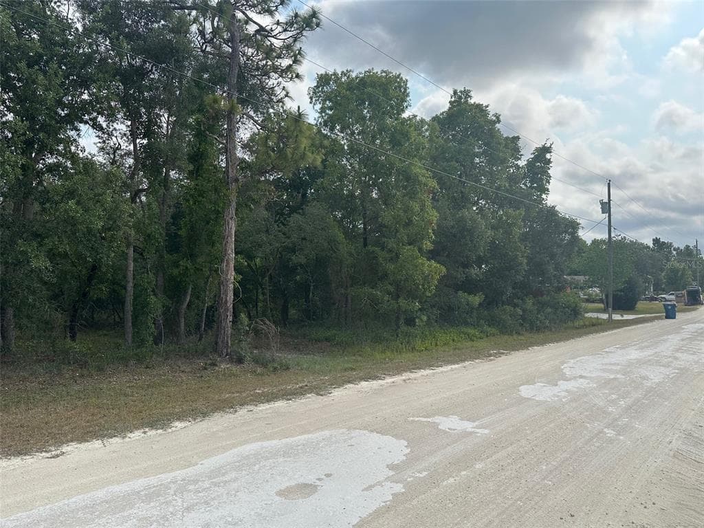 12463 ROCK DUCK AVENUE WEEKI WACHEE, FL 34614