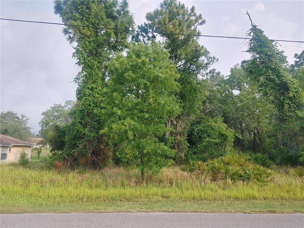 00 HOUSE FINCH ROAD WEEKI WACHEE, FL 34614