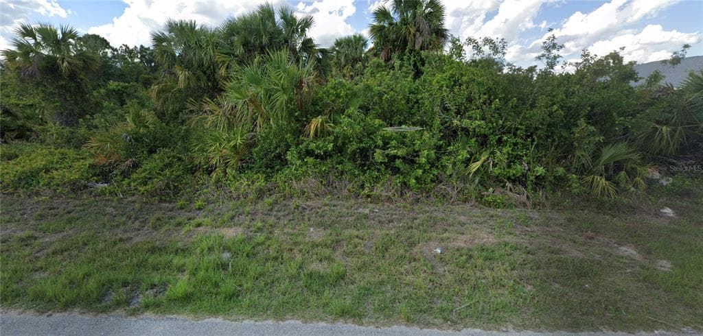 1255 AUGUSTA STREET E LEHIGH ACRES, FL 33974