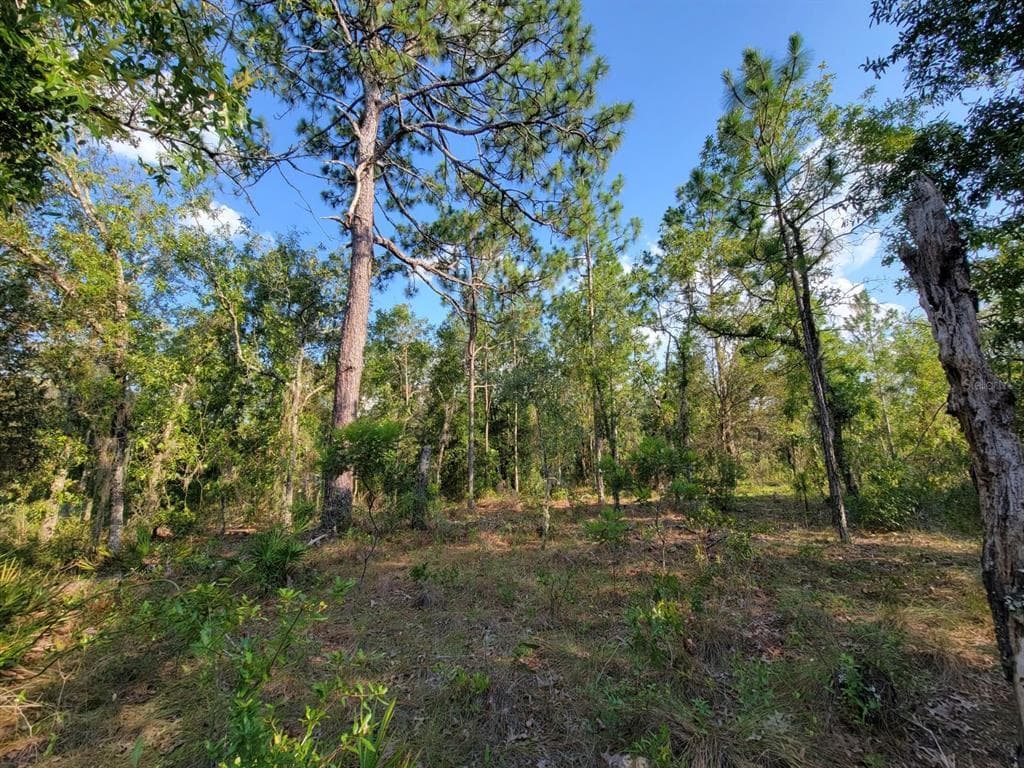 NE 60 LANE BRONSON, FL 32621