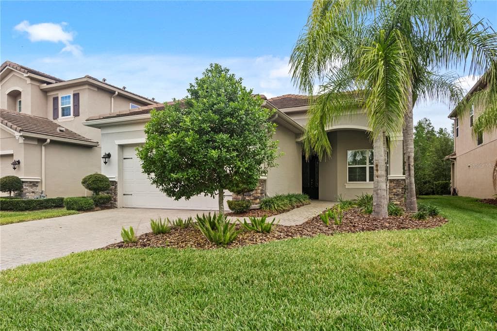 31110 LINDENTREE DRIVE WESLEY CHAPEL, FL 33543