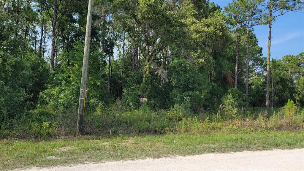 15586 CLIFF SWALLOW ROAD WEEKI WACHEE, FL 34614