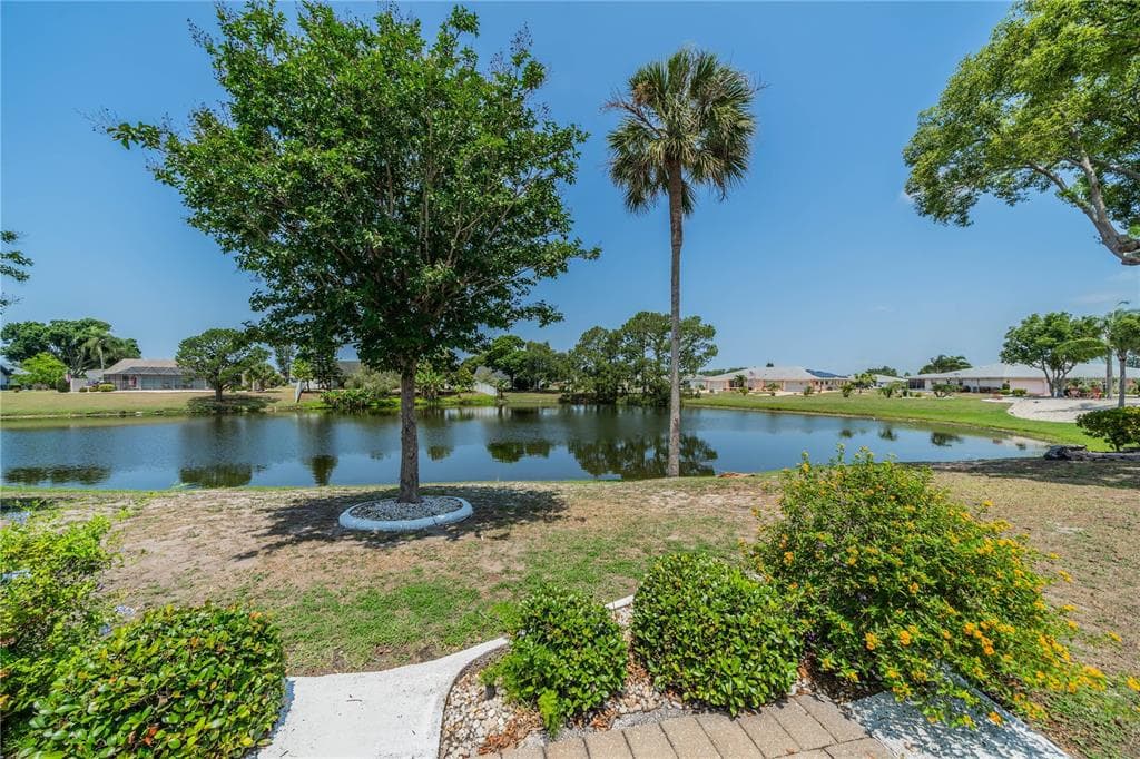 806 BLUEWATER DRIVE SUN CITY CENTER, FL 33573