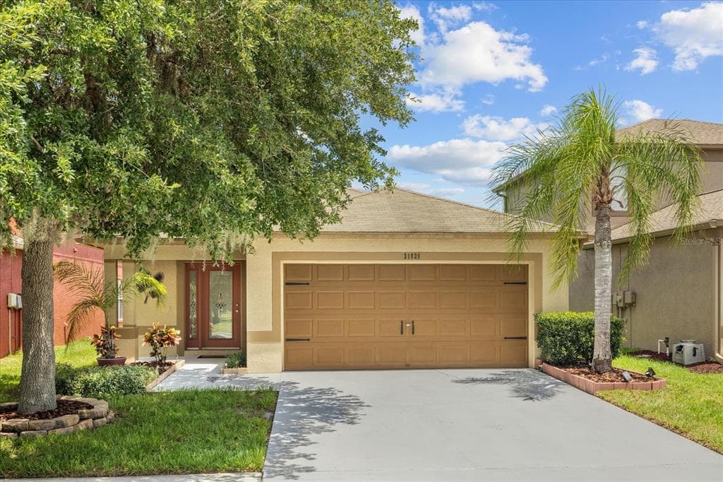 31039 MASENA DRIVE WESLEY CHAPEL, FL 33545