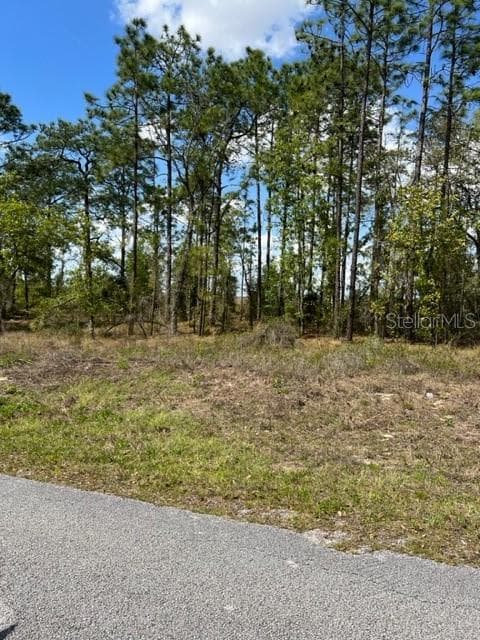 1 FALCON AVENUE DUNNELLON, FL 34431