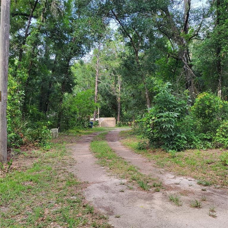 7242 ELAINE DRIVE WEBSTER, FL 33597