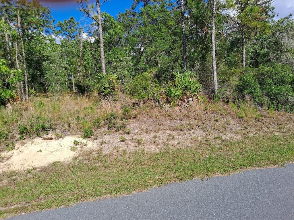 7408 MANDRAKE ROAD WEEKI WACHEE, FL 34613