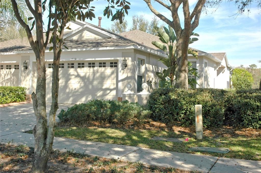 19133 WHITE WING PLACE TAMPA, FL 33647