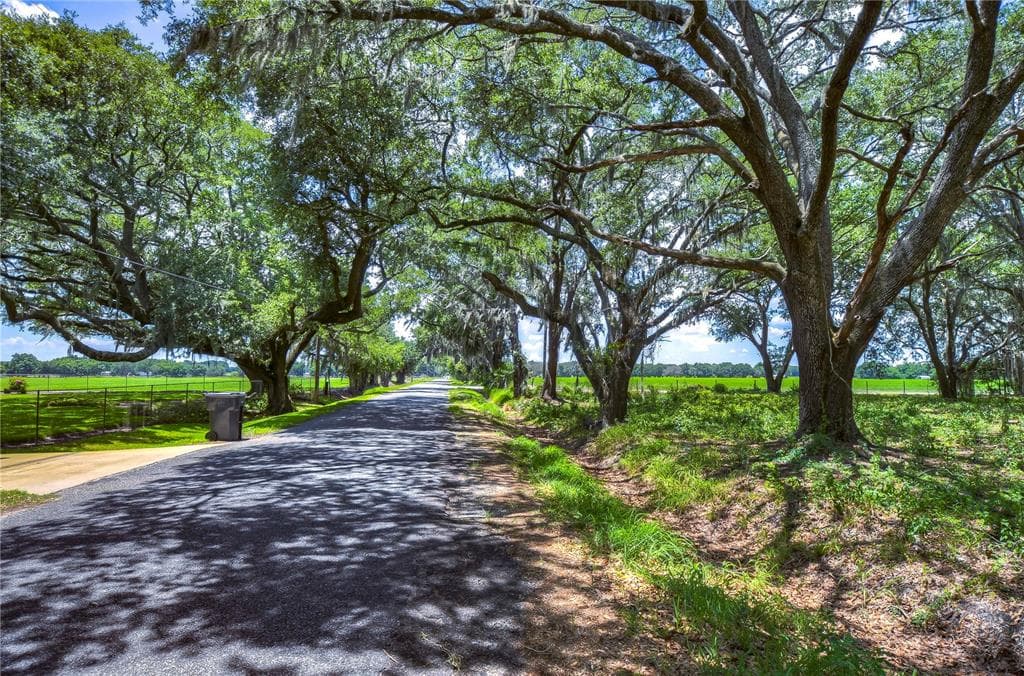 15410 CARUTHERS ROAD DOVER, FL 33527