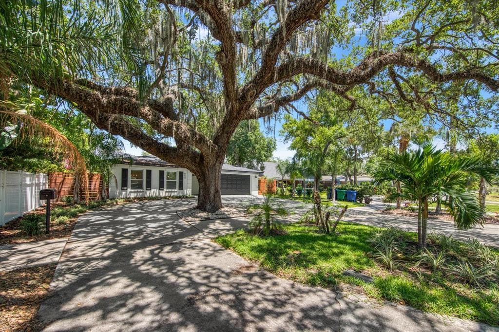 804 S WEST SHORE BOULEVARD TAMPA, FL 33609