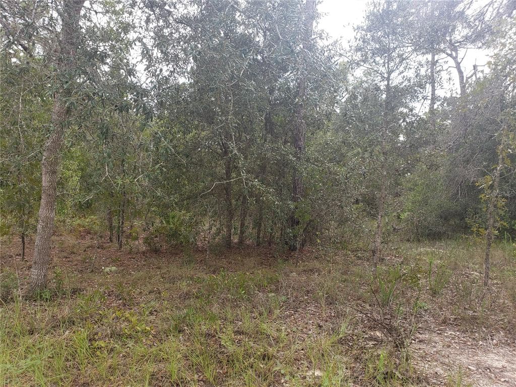 105 DRAYCOTT AVENUE LAKE PLACID, FL 33852