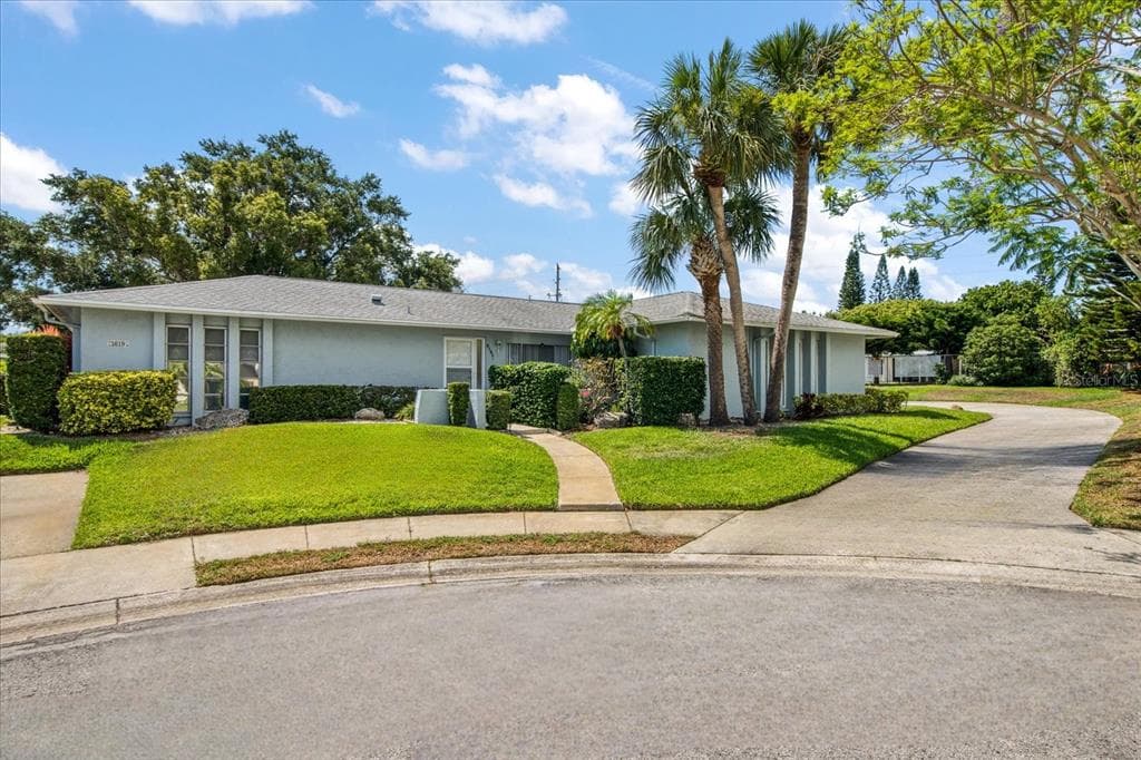 1619 WHITHORN PLACE UNIT B PALM HARBOR, FL 34684